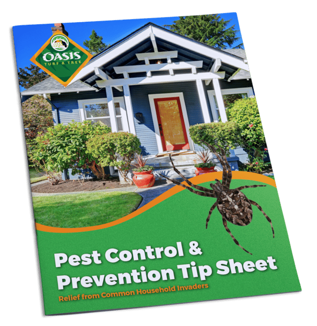 Pest Control Tip Sheet Cincinnati, OH and Northern Kentucky
